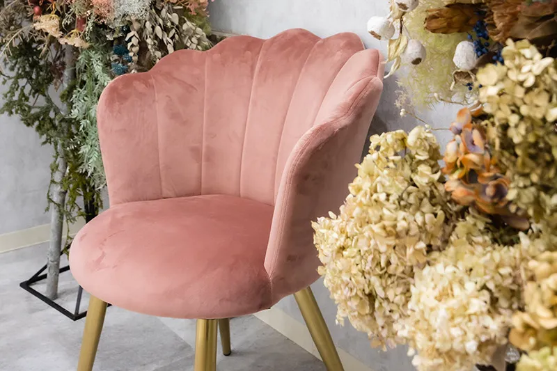 撮影プランやカメラ講座の詳細をご案内